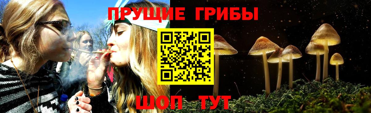 Псилоцибиновые грибы Magic Shrooms  Вход с VPN  Нефтекумск 